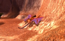 A kánikula áldozata